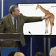 Illustration for article titled Biologists Unveil New Taxonomic System Classifying Species By Hotness